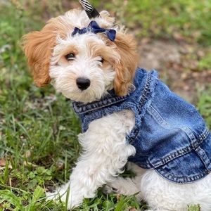 Meet your Posher, Kevon